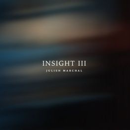 Insight III