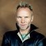 Fields of Gold the Best of Sting 1984-1994 (Cборник нот)